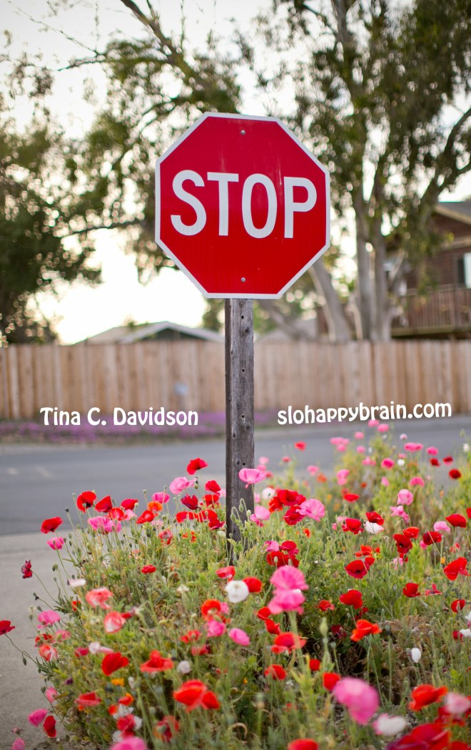 SLO_happy_brain_Tina_C_Davidson_blog