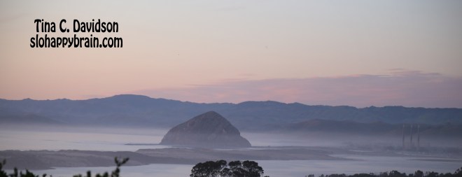 TinaCDavidson_SLO_Happy_Brain_Morro_Bay_CA