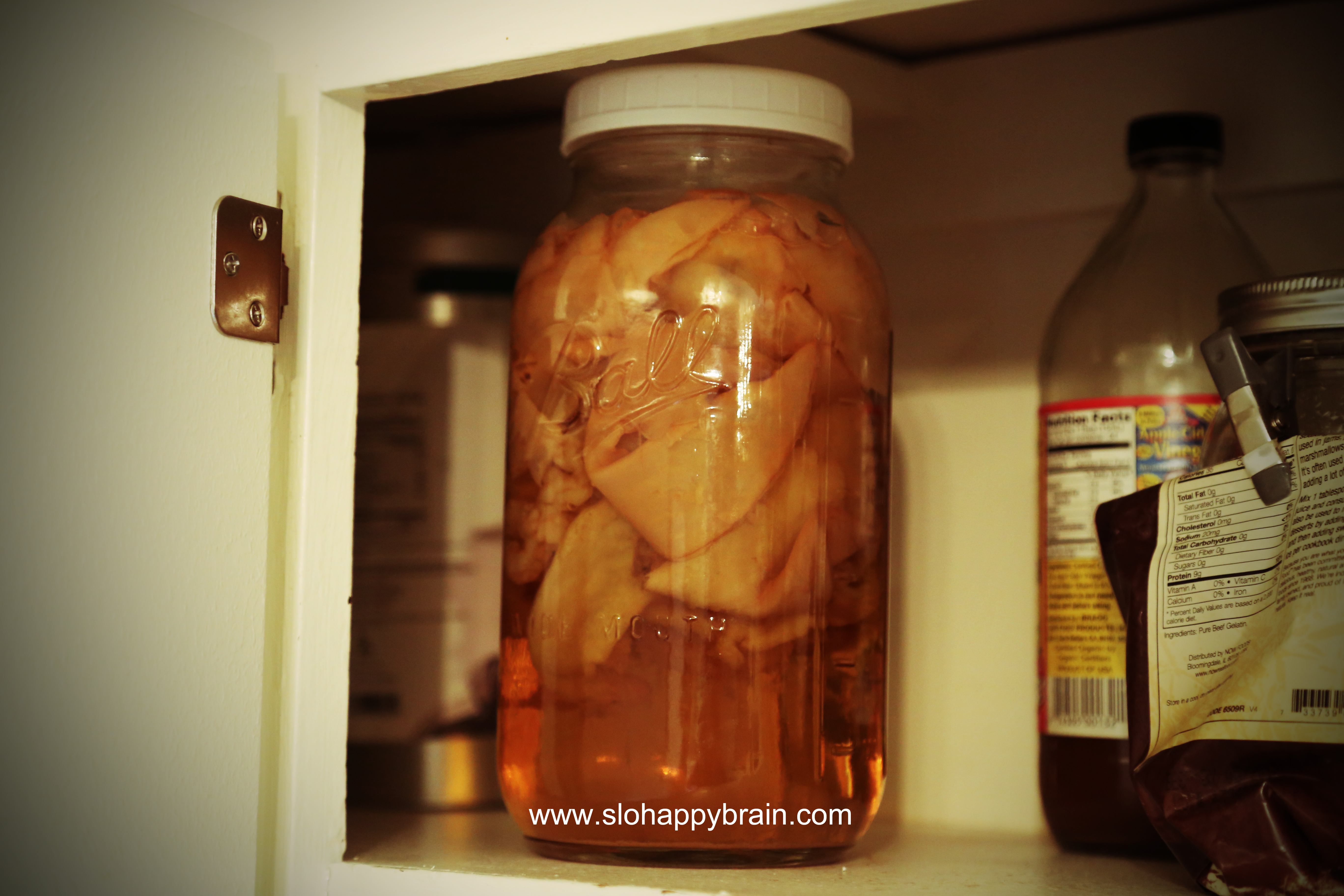 Kombucha_Motel_Tina_Davidson_SLO_Happy