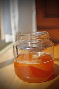 Kombucha_SCOBY_jar_Tina_C_Davidson
