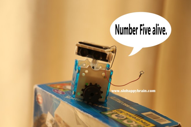 Number_Five_Alive_Tina_Davidson_Slo_happy